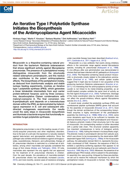 An Iterative Type I Polyketide Synthase Initiates the Biosynthesis of the Antimycoplasma Agent Micacocidin