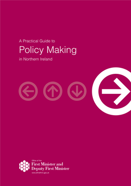 A Practical Guide to Policy Making in Northern Ireland