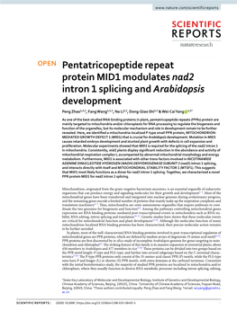 Pentatricopeptide Repeat Protein MID1 Modulates Nad2 Intron 1