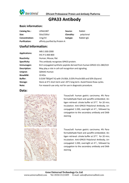 GPA33 Antibody