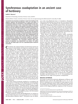 Synchronous Coadaptation in an Ancient Case of Herbivory