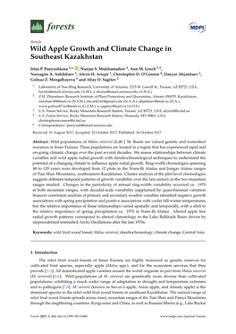 Wild Apple Growth and Climate Change in Southeast Kazakhstan