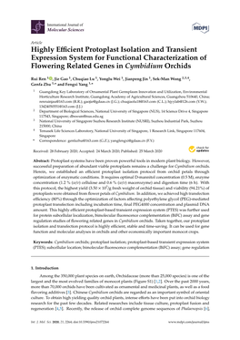 Highly Efficient Protoplast Isolation and Transient Expression System