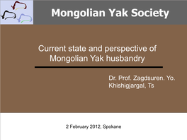 Mongolian Yak Society Dr