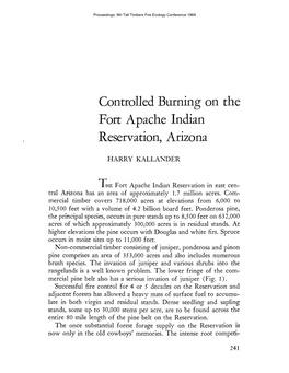 Controlled Burning on the Fort Apache Indian Reservation, Arizona