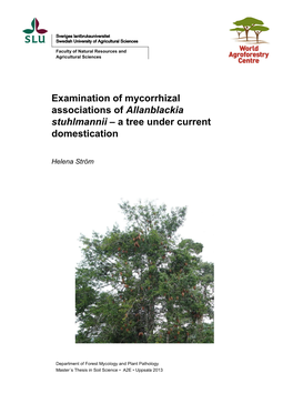 Examination of Mycorrhizal Associations of Allanblackia Stuhlmannii – a Tree Under Current Domestication