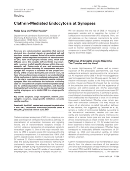 Clathrin-Mediated Endocytosis at Synapses