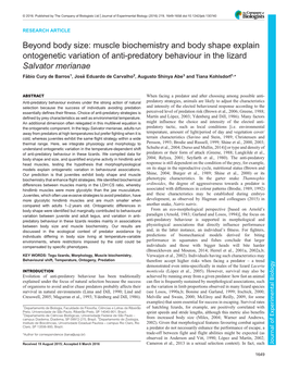 Muscle Biochemistry and Body Shape Explain Ontogenetic Variation of Anti