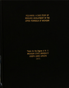 A Case Study of Resource Development in the Upper Peninsula of Michigan