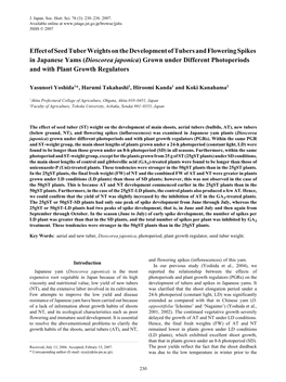 Effect of Seed Tuber Weights on the Development of Tubers