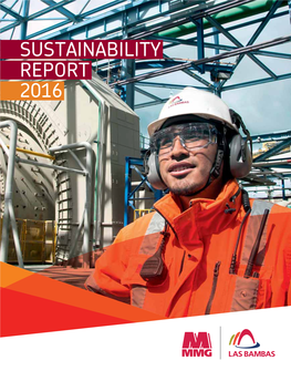 Sustainability Report 2016