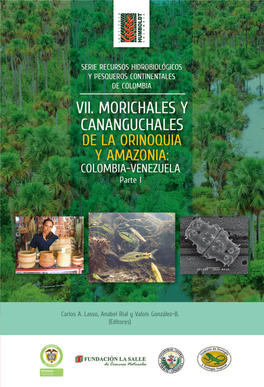 VII. MORICHALES Y CANANGUCHALES DE LA ORINOQUIA Y AMAZONIA: COLOMBIA-VENEZUELA Parte I