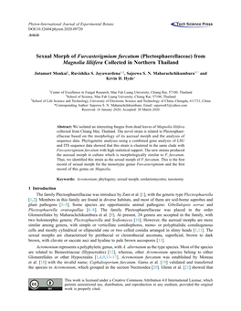 Sexual Morph of Furcasterigmium Furcatum (Plectosphaerellaceae) from Magnolia Liliifera Collected in Northern Thailand