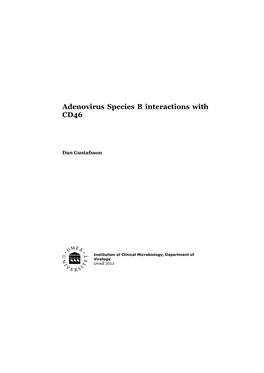 Adenovirus Species B Interactions with CD46