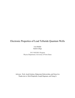 Electronic Properties of Lead Telluride Quantum Wells