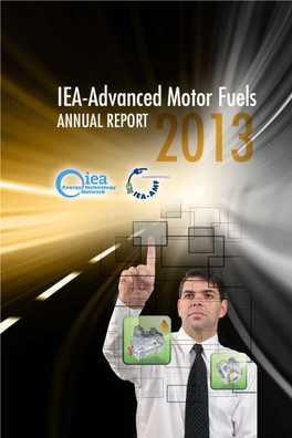 Advanced Motor Fuels Annual Report 2013