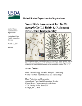 Weed Risk Assessment for Torilis Leptophylla (L.) Rchb. F. (Apiaceae)