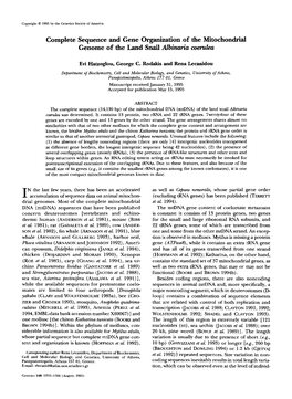 Complete Sequence and Gene Organization of the Mitochondrial Genome of the Land Snail Albinuria Cornlea