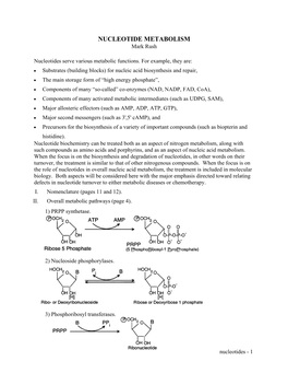 NUCLEOTIDE METABOLISM Mark Rush