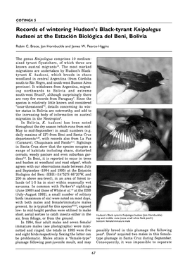 Records of Wintering Hudson's Black-Tyrant Knipolegus Hudsoni at the Estación Biológica Del Beni, Bolivia