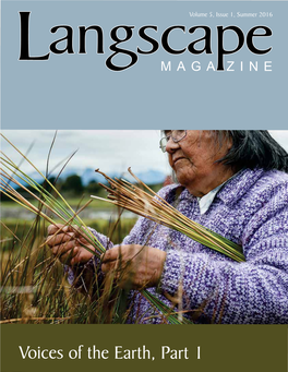 Cristina Calderón Collecting Mapi (Rushes) for Traditional Basketry