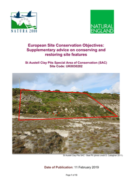 St Austell Clay Pits SAC Conservation Objectives Supplementary Advice