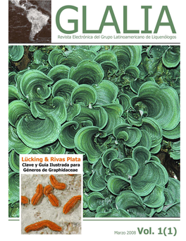 Clave Y Guía Ilustrada Para Géneros De Graphidaceae
