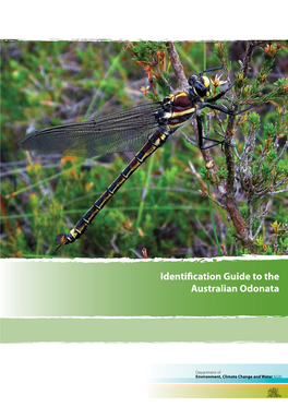 Identification Guide to the Australian Odonata Australian the to Guide Identification