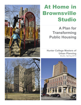 At Home in Brownsville: a Plan for Transforming Public Housing