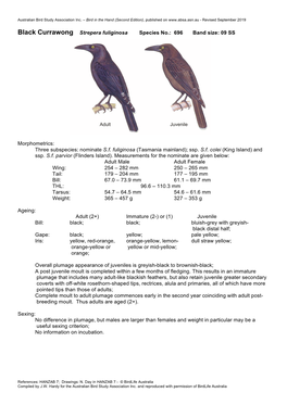 Black Currawong Strepera Fuliginosa Species No.: 696 Band Size: 09 SS