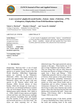 A New Record of Glaphyrid Scarab Beetles , Eulasia Vitatta ( Fabricius , 1775) (Coleoptera, Glaphyridae) from Erbil Kurdistan Region-Iraq