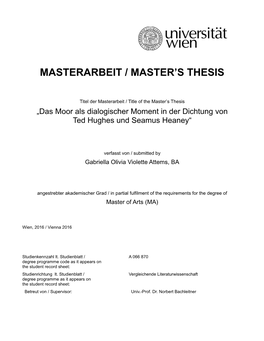 Masterarbeit / Master's Thesis