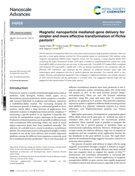 Magnetic Nanoparticles Mediated-Gene Delivery for Simpler