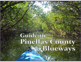 Blueways Paddling Guide