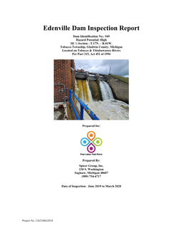 Edenville Dam Inspection Report