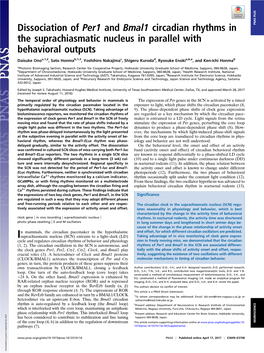 Dissociation of Per1 and Bmal1 Circadian Rhythms in The