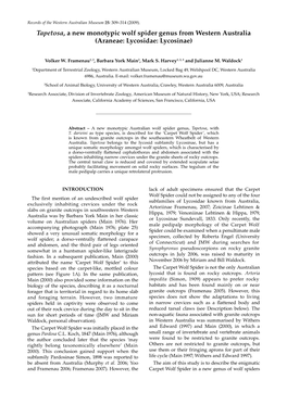 Tapetosa, a New Monotypic Wolf Spider Genus from Western Australia (Araneae: Lycosidae: Lycosinae)