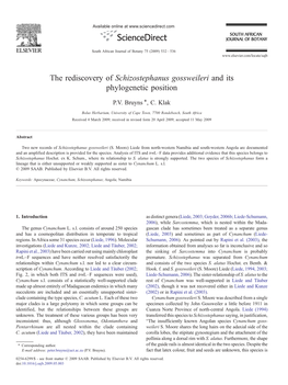 The Rediscovery of Schizostephanus Gossweileri and Its Phylogenetic Position ⁎ P.V