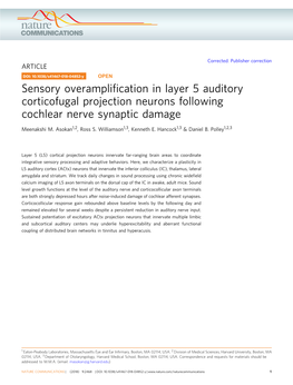 Sensory Overamplification in Layer 5 Auditory Corticofugal Projection Neurons Following Cochlear Nerve Synaptic Damage