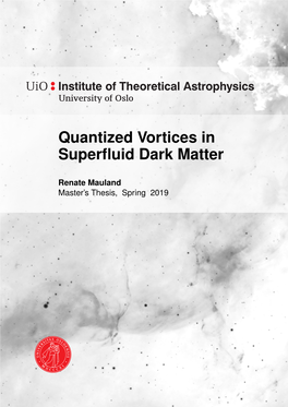 Quantized Vortices in Superfluid Dark Matter
