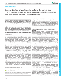 Genetic Deletion of Amphiregulin Restores the Normal Skin Phenotype in a Mouse Model of the Human Skin Disease Tylosis Vishnu Hosur*, Benjamin E