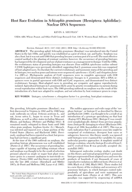 Host Race Evolution in Schizaphis Graminum (Hemiptera: Aphididae): Nuclear DNA Sequences