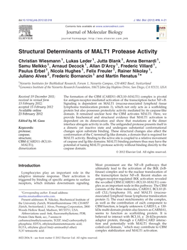 Structural Determinants of MALT1 Protease Activity