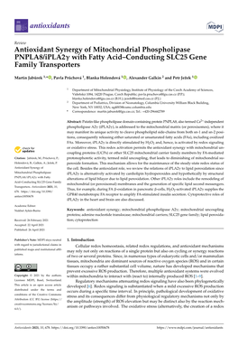 Antioxidant Synergy of Mitochondrial Phospholipase PNPLA8/Ipla2γ with Fatty Acid–Conducting SLC25 Gene Family Transporters