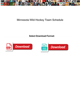 Minnesota Wild Hockey Team Schedule