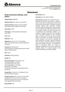 ELA2 Monoclonal Antibody, Clone AOCI-5