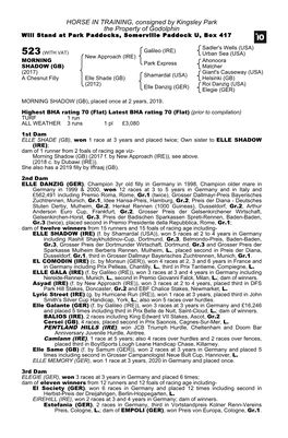 HORSE in TRAINING, Consigned by Kingsley Park the Property of Godolphin Will Stand at Park Paddocks, Somerville Paddock U, Box 417