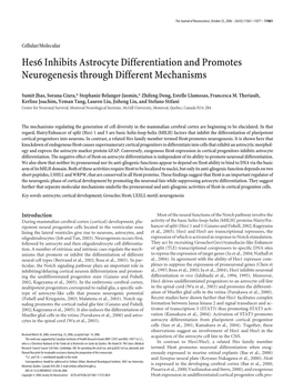 Hes6 Inhibits Astrocyte Differentiation and Promotes Neurogenesis Through Different Mechanisms