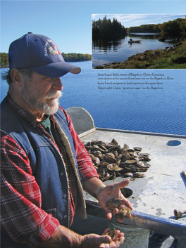 Jesse Leach (Left), Owner of Bagaduce Oyster Company, Sorts Oysters at His Aquaculture Lease Site on the Bagaduce River