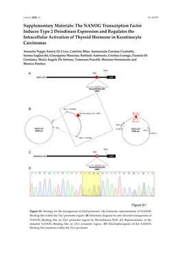 The NANOG Transcription Factor Induces Type 2 Deiodinase Expression and Regulates the Intracellular Activation of Thyroid Hormone in Keratinocyte Carcinomas